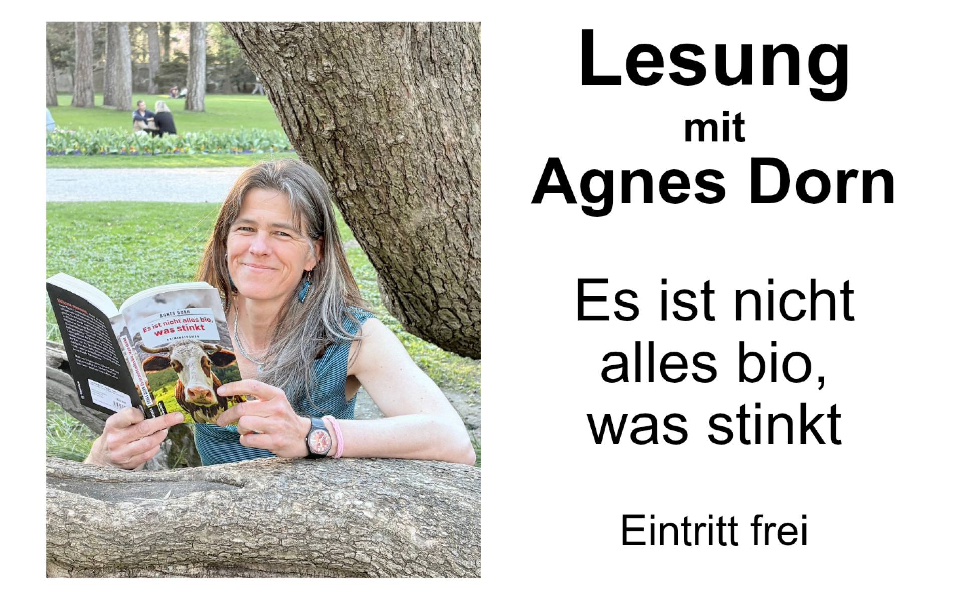 Lesung Agnes Dorn